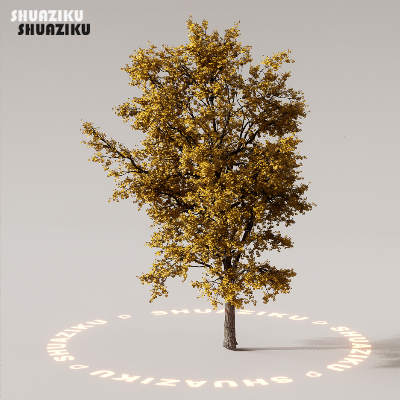 图片[76]-D5渲染器室外植物树木模型下载88个-刷子库