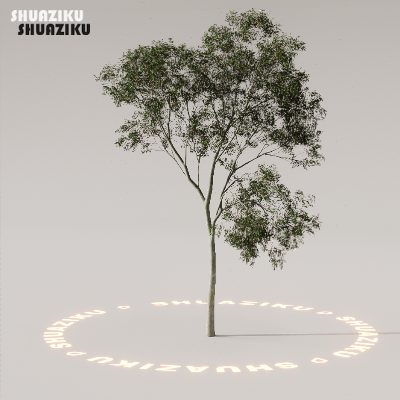 图片[78]-D5渲染器室外植物树木模型下载88个-刷子库