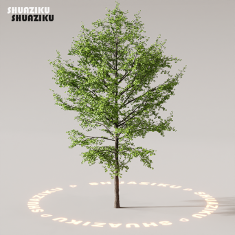 图片[79]-D5渲染器室外植物树木模型下载88个-刷子库