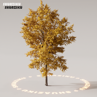 图片[82]-D5渲染器室外植物树木模型下载88个-刷子库