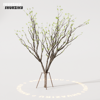 图片[85]-D5渲染器室外植物树木模型下载88个-刷子库