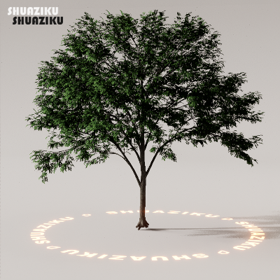 图片[88]-D5渲染器室外植物树木模型下载88个-刷子库