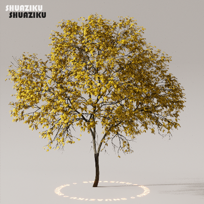 图片[1]-D5渲染器室外植物树木模型下载50个-刷子库