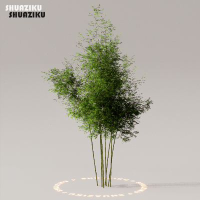 图片[2]-D5渲染器室外植物树木模型下载50个-刷子库