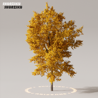 图片[3]-D5渲染器室外植物树木模型下载50个-刷子库