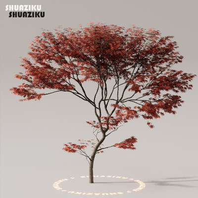 图片[4]-D5渲染器室外植物树木模型下载50个-刷子库