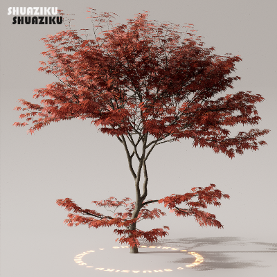 图片[5]-D5渲染器室外植物树木模型下载50个-刷子库
