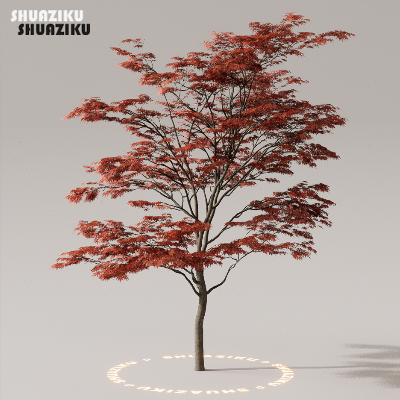 图片[8]-D5渲染器室外植物树木模型下载50个-刷子库