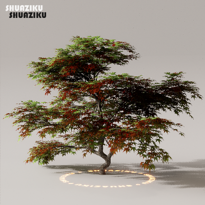 图片[9]-D5渲染器室外植物树木模型下载50个-刷子库