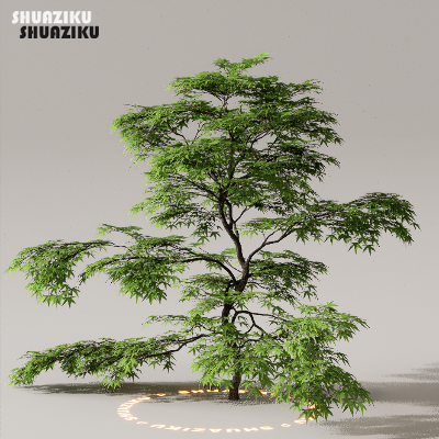 图片[10]-D5渲染器室外植物树木模型下载50个-刷子库