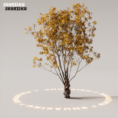 图片[12]-D5渲染器室外植物树木模型下载50个-刷子库