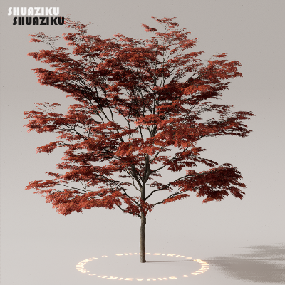图片[13]-D5渲染器室外植物树木模型下载50个-刷子库
