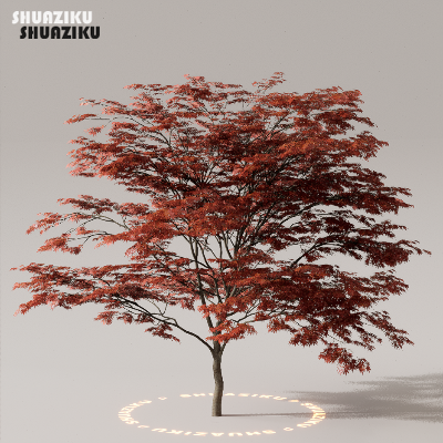 图片[14]-D5渲染器室外植物树木模型下载50个-刷子库