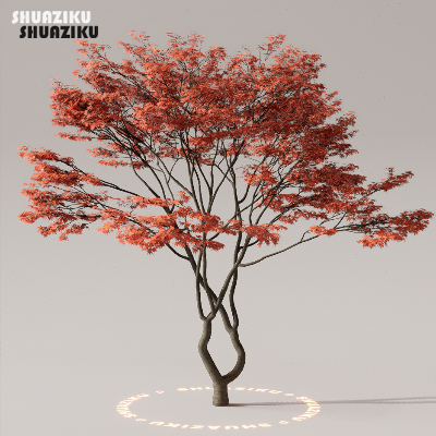 图片[15]-D5渲染器室外植物树木模型下载50个-刷子库