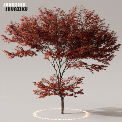 图片[16]-D5渲染器室外植物树木模型下载50个-刷子库