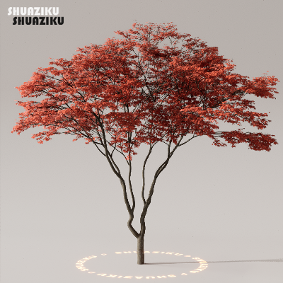 图片[17]-D5渲染器室外植物树木模型下载50个-刷子库