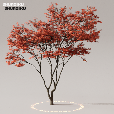 图片[18]-D5渲染器室外植物树木模型下载50个-刷子库