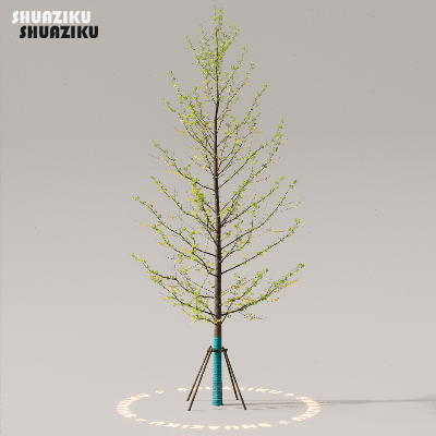 图片[21]-D5渲染器室外植物树木模型下载50个-刷子库