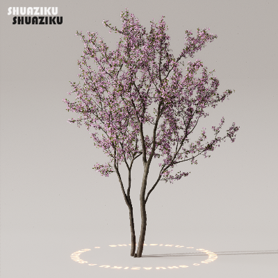 图片[22]-D5渲染器室外植物树木模型下载50个-刷子库