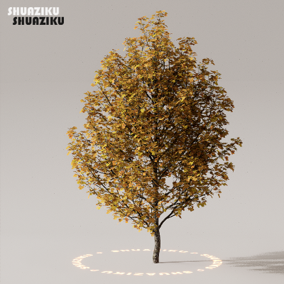 图片[24]-D5渲染器室外植物树木模型下载50个-刷子库