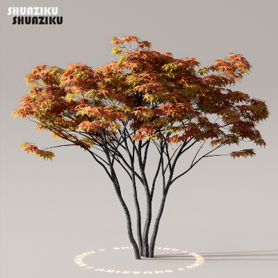 图片[26]-D5渲染器室外植物树木模型下载50个-刷子库