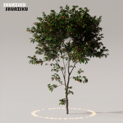 图片[28]-D5渲染器室外植物树木模型下载50个-刷子库