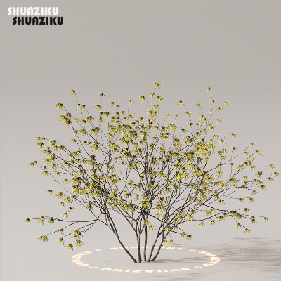 图片[30]-D5渲染器室外植物树木模型下载50个-刷子库