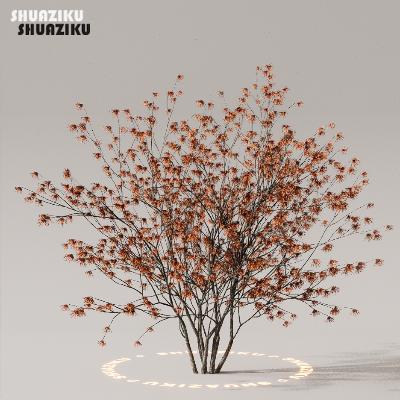 图片[31]-D5渲染器室外植物树木模型下载50个-刷子库