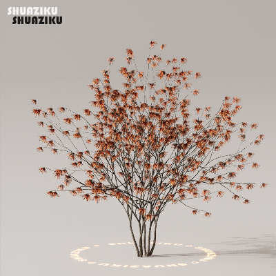 图片[33]-D5渲染器室外植物树木模型下载50个-刷子库