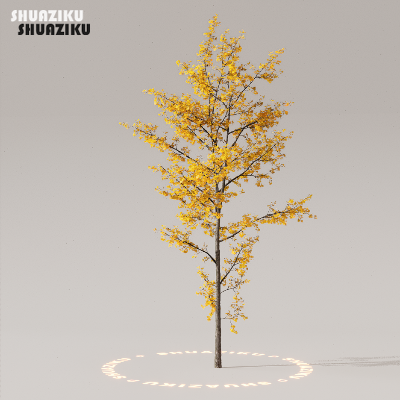 图片[36]-D5渲染器室外植物树木模型下载50个-刷子库