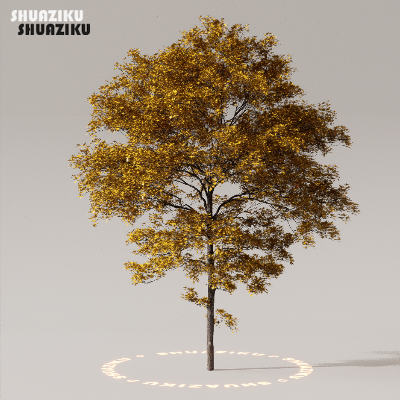 图片[37]-D5渲染器室外植物树木模型下载50个-刷子库
