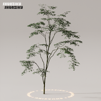 图片[38]-D5渲染器室外植物树木模型下载50个-刷子库