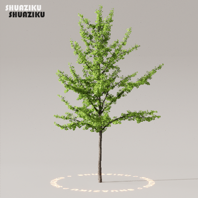 图片[40]-D5渲染器室外植物树木模型下载50个-刷子库