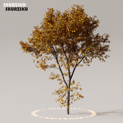 图片[42]-D5渲染器室外植物树木模型下载50个-刷子库