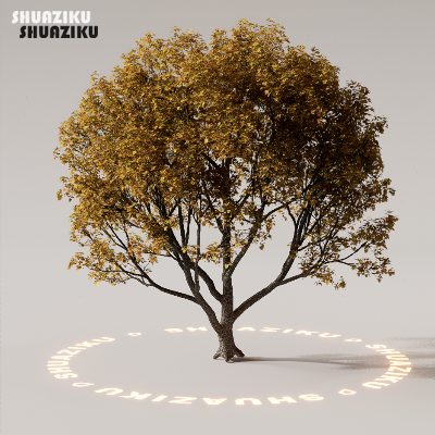 图片[43]-D5渲染器室外植物树木模型下载50个-刷子库