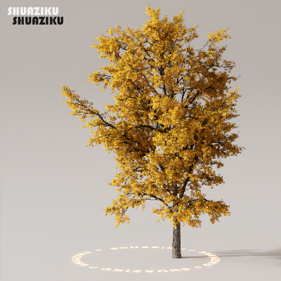 图片[50]-D5渲染器室外植物树木模型下载50个-刷子库