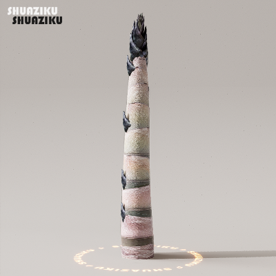 图片[3]-D5渲染器室外植物树木模型下载50个-刷子库