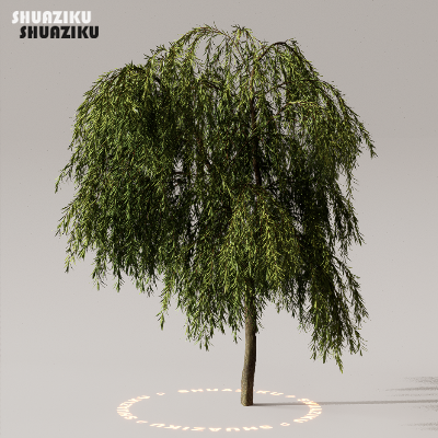 图片[6]-D5渲染器室外植物树木模型下载50个-刷子库