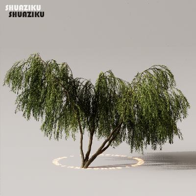 图片[12]-D5渲染器室外植物树木模型下载50个-刷子库