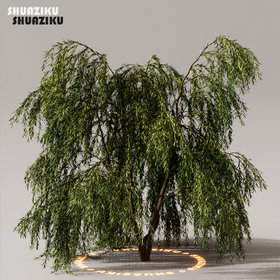 图片[13]-D5渲染器室外植物树木模型下载50个-刷子库