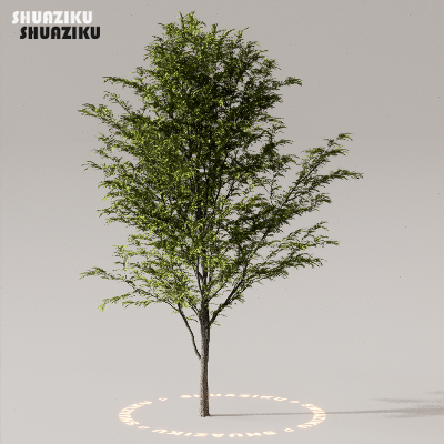 图片[22]-D5渲染器室外植物树木模型下载50个-刷子库