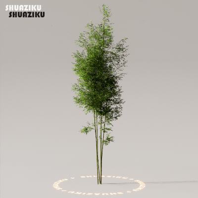 图片[28]-D5渲染器室外植物树木模型下载50个-刷子库