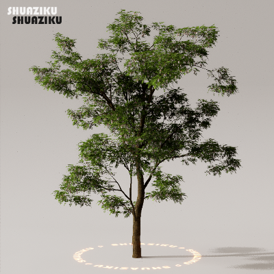 图片[30]-D5渲染器室外植物树木模型下载50个-刷子库