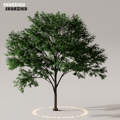 图片[33]-D5渲染器室外植物树木模型下载50个-刷子库