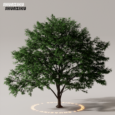 图片[36]-D5渲染器室外植物树木模型下载50个-刷子库