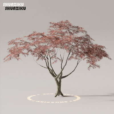 图片[40]-D5渲染器室外植物树木模型下载50个-刷子库