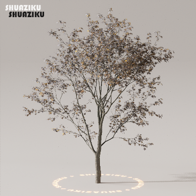 图片[44]-D5渲染器室外植物树木模型下载50个-刷子库