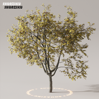 图片[45]-D5渲染器室外植物树木模型下载50个-刷子库