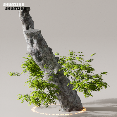 图片[13]-D5渲染器室外植物树木模型下载50个-刷子库