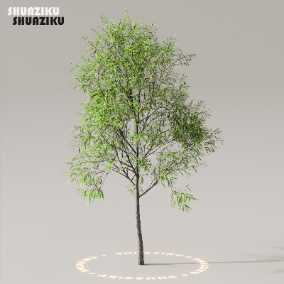 图片[14]-D5渲染器室外植物树木模型下载50个-刷子库